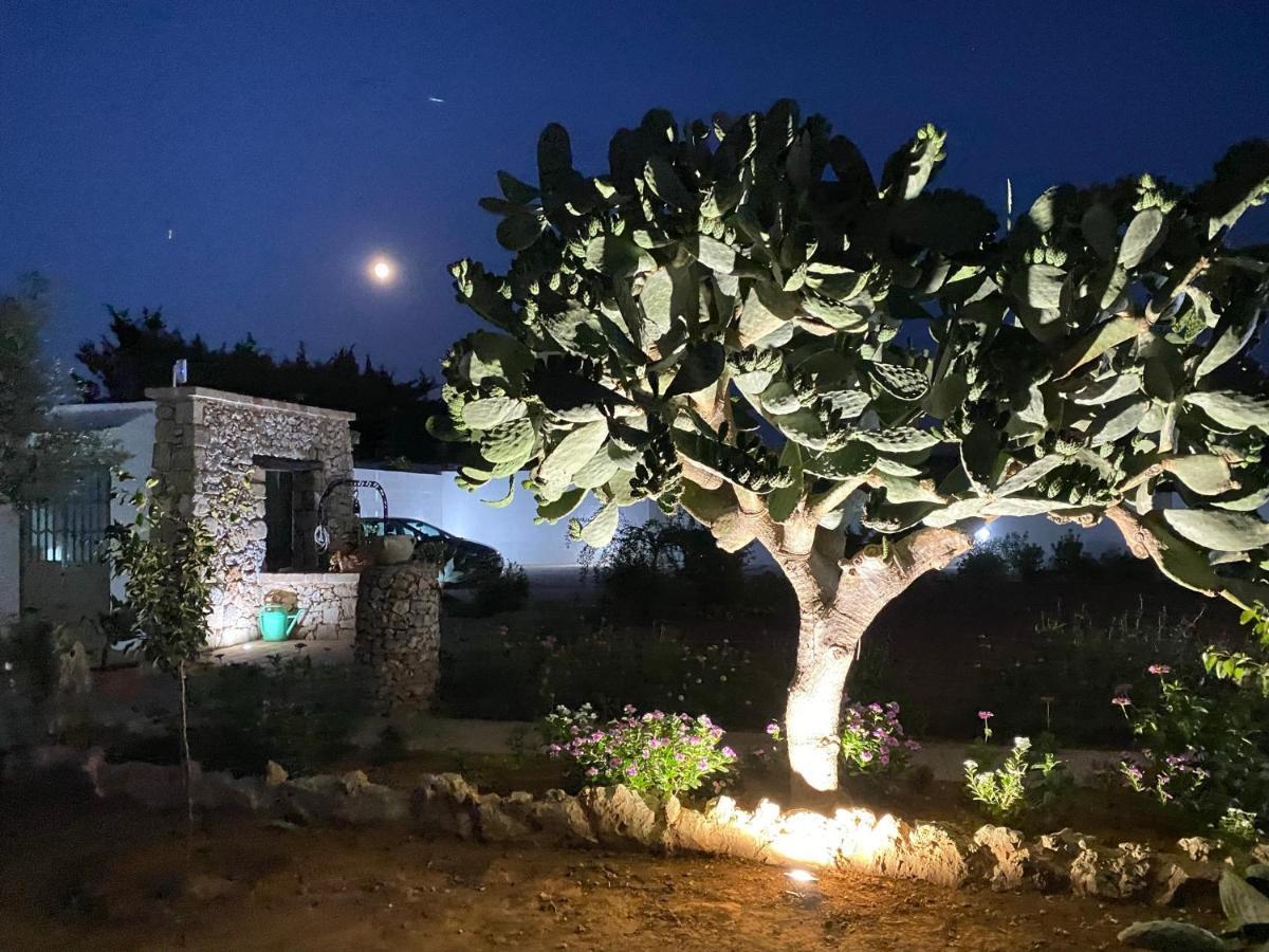 B&B Fellini Gallipoli Dış mekan fotoğraf